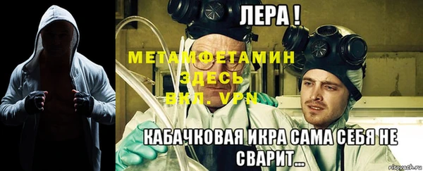 индика Няндома