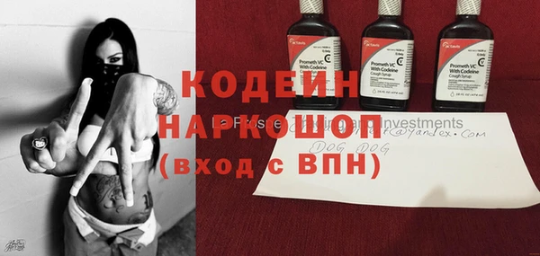 дживик Алексин