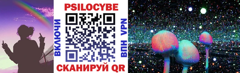 MEGA ТОР  Устюжна  Галлюциногенные грибы Psilocybe 